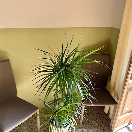 Appartement Pongo *