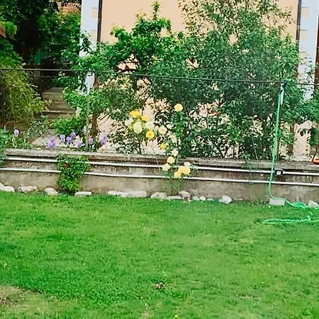 Pongo Appartement